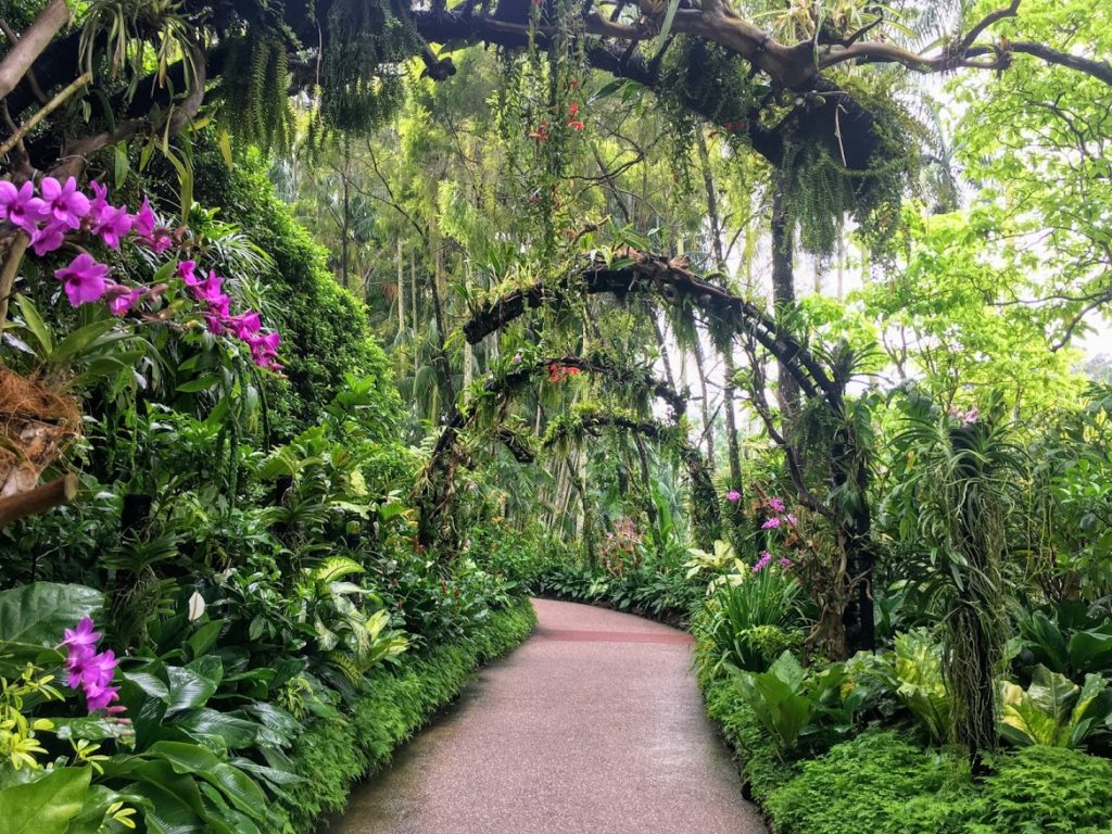 Garden Path with lush green plants with overhanging arches and flowers