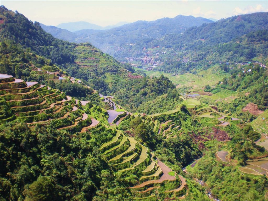 Rice terraces Philippines