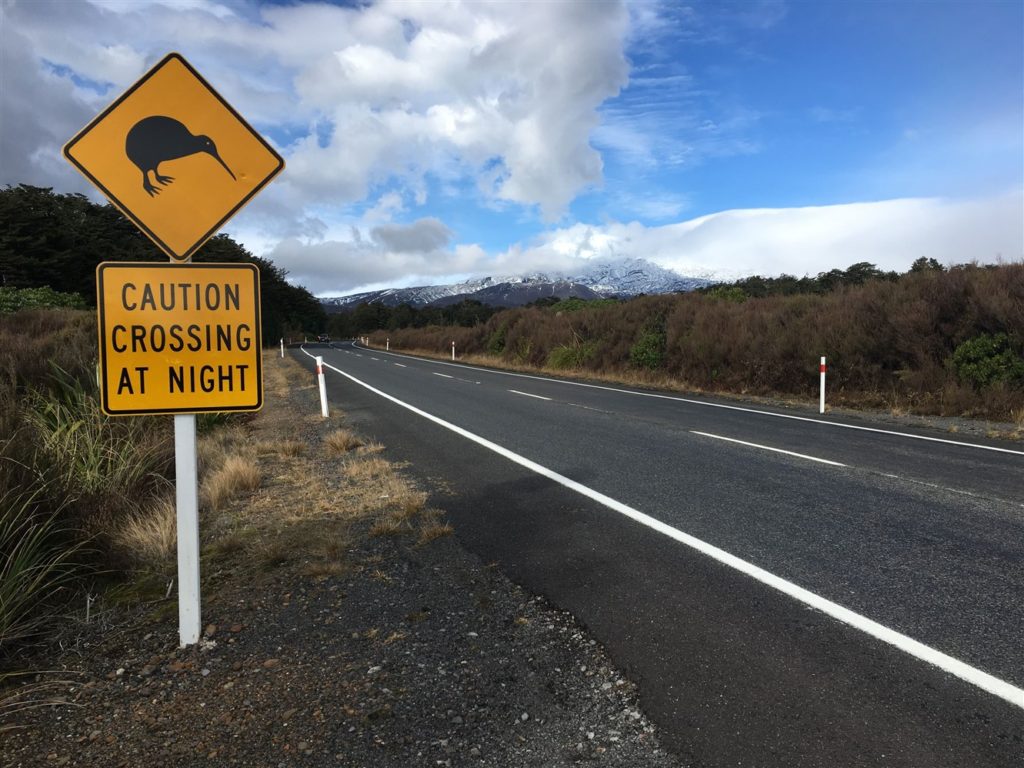 Road Sign: Caution Kiwis Crossing at Night