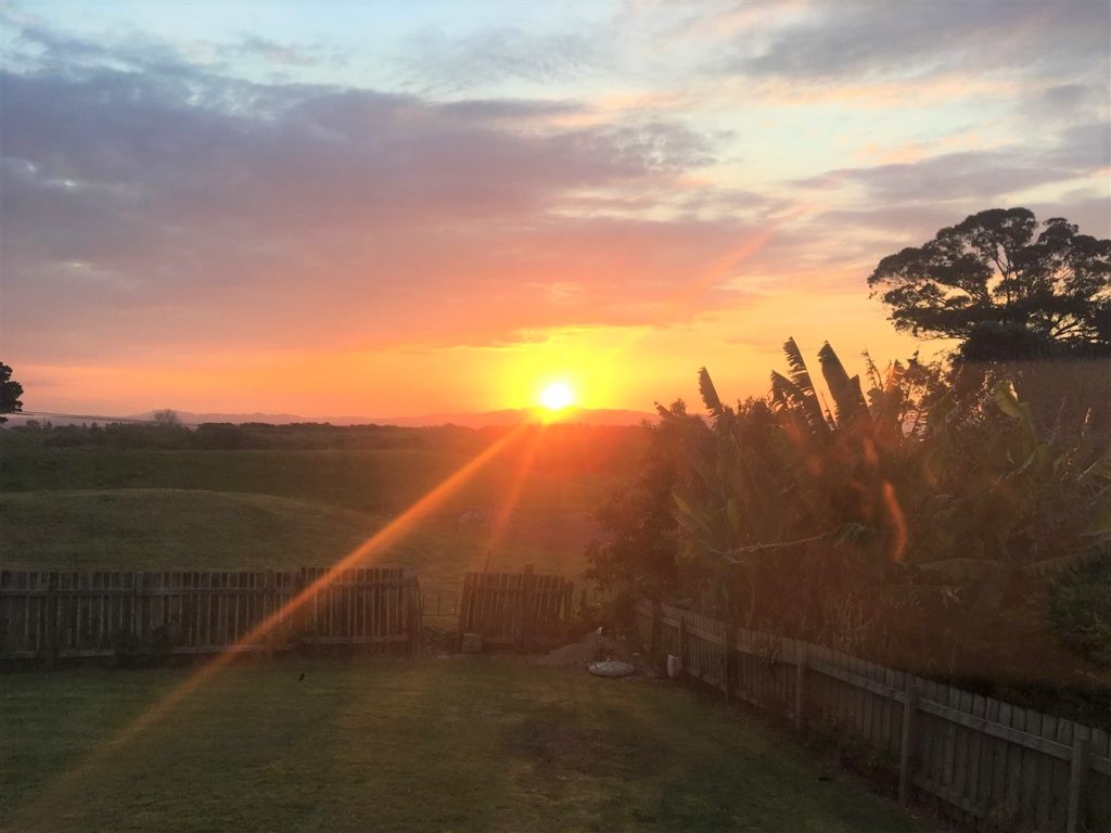 Sunset garden view with tree's, fence and hillside