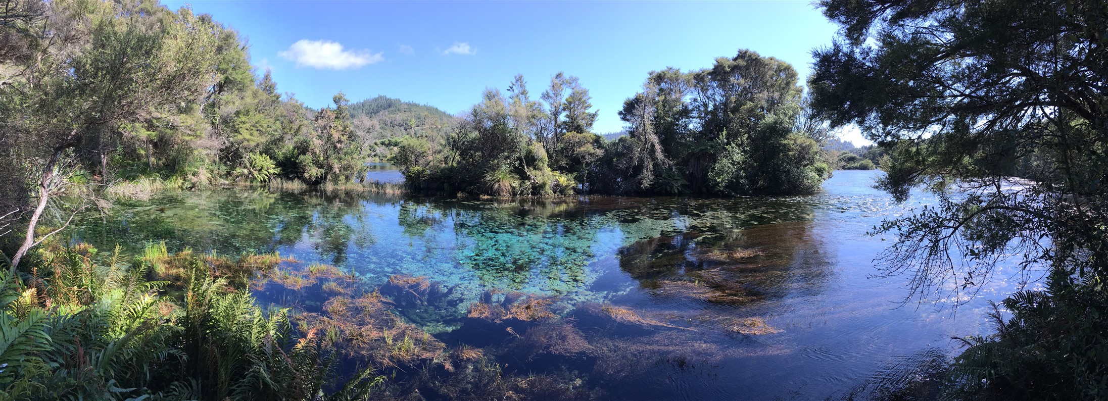 Clear blue spring water pano