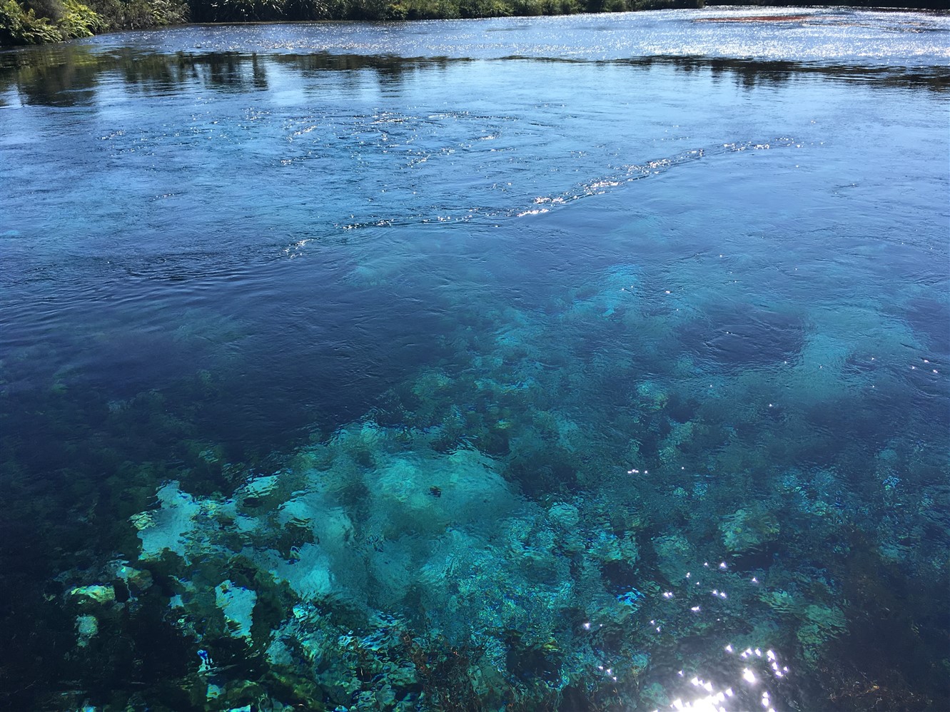 Clear blue Spring water