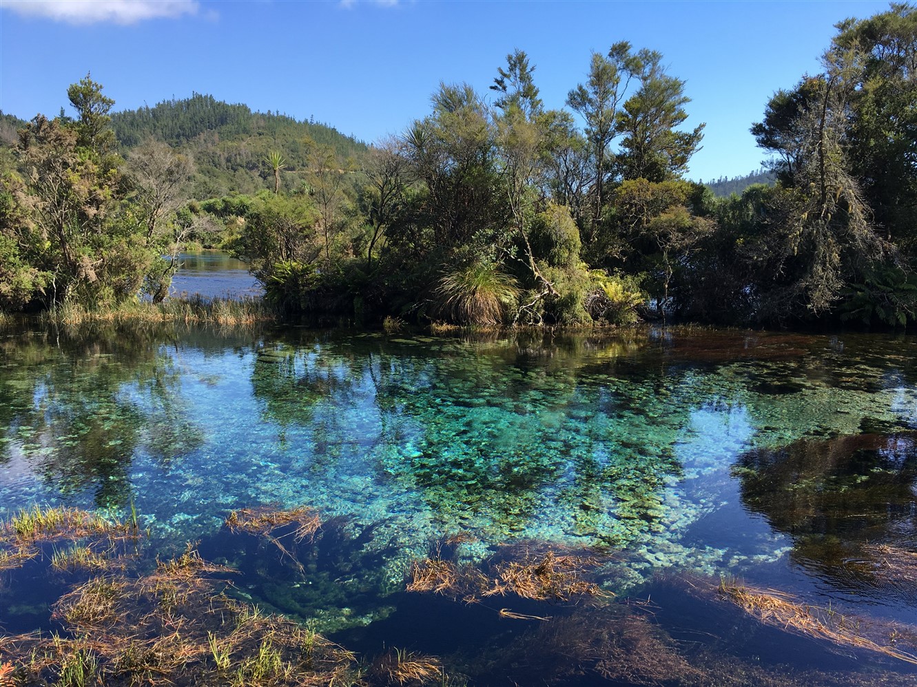 Clear blue spring water